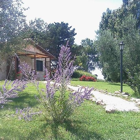 Casale Dinelli Villa Tarquinia Rom bilde