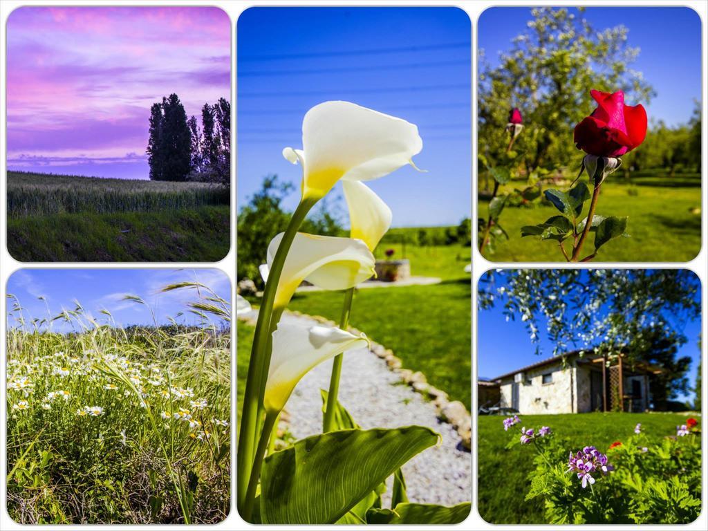 Casale Dinelli Villa Tarquinia Eksteriør bilde