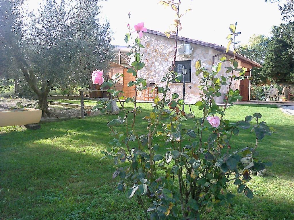 Casale Dinelli Villa Tarquinia Rom bilde