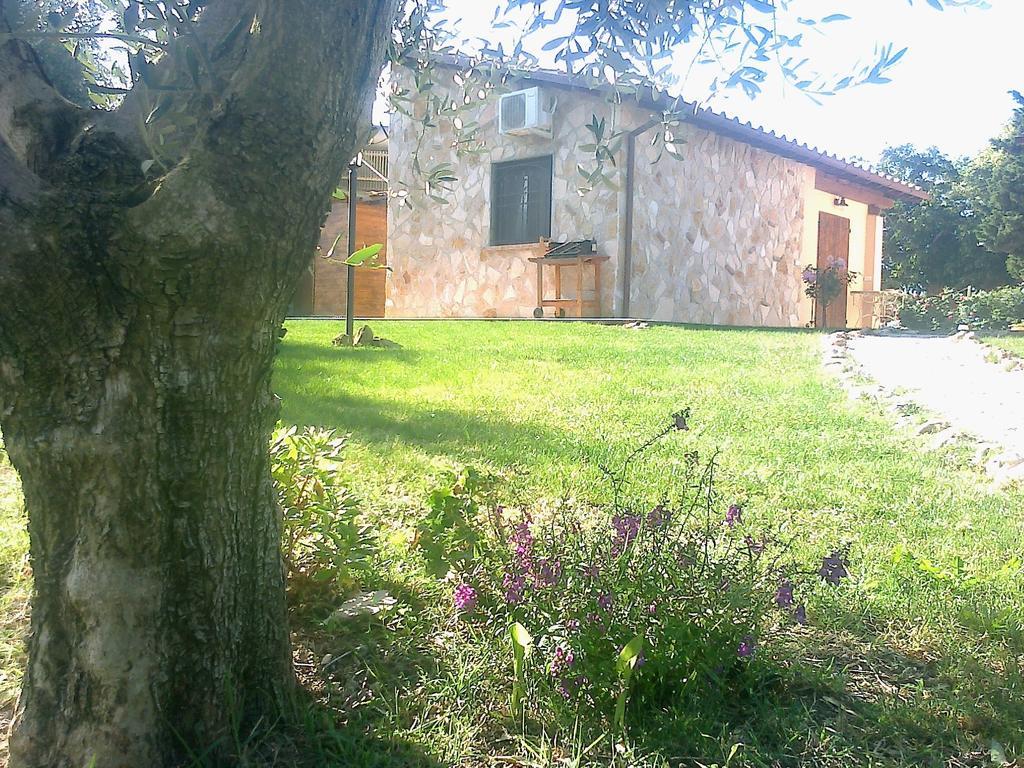 Casale Dinelli Villa Tarquinia Rom bilde