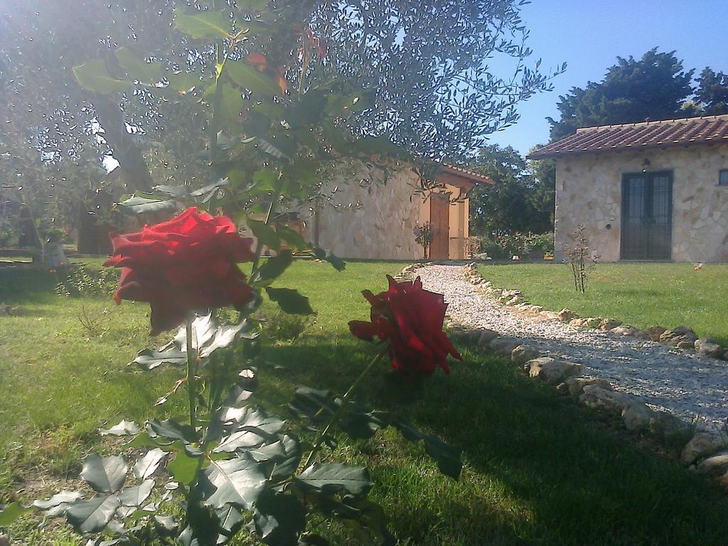 Casale Dinelli Villa Tarquinia Rom bilde