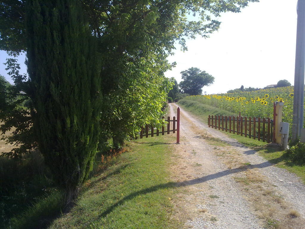 Casale Dinelli Villa Tarquinia Eksteriør bilde